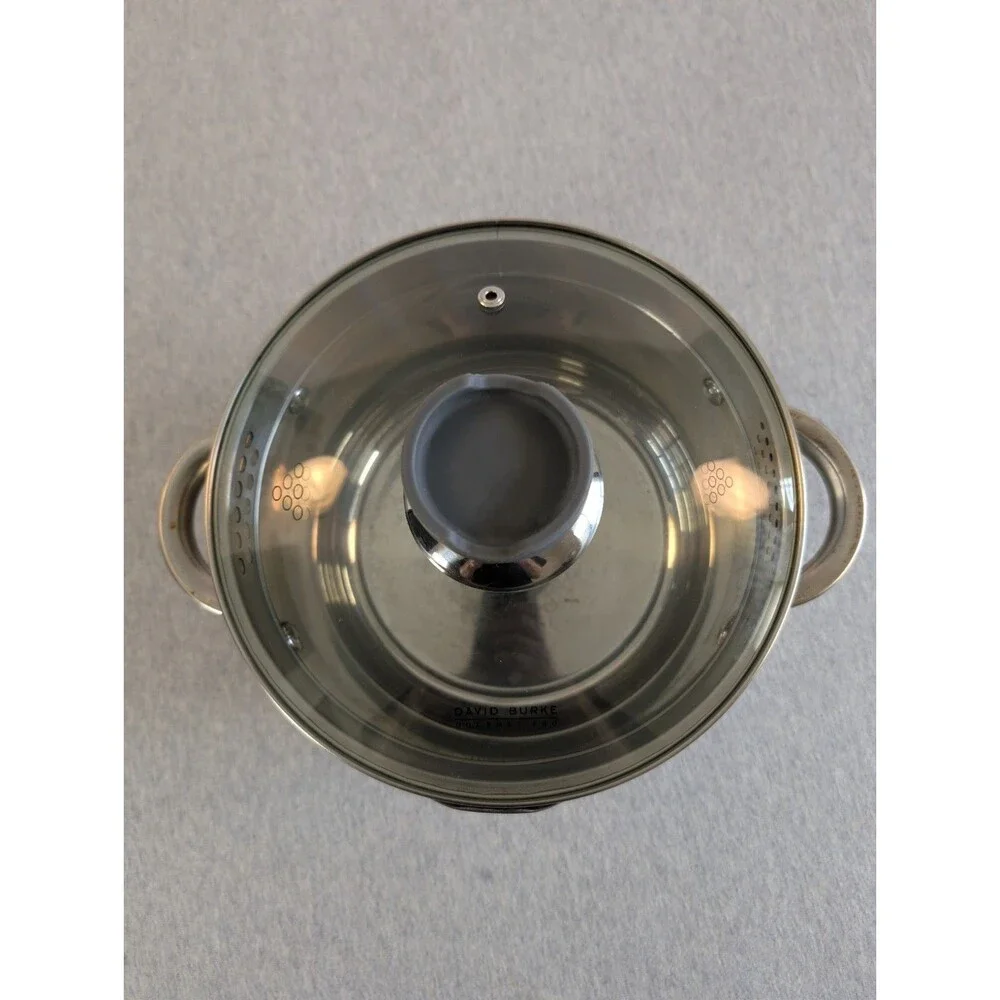 David Burke Gourmet Pro Stainless Steel Stockpot 3.3 Qt Glass Lid Double Handle